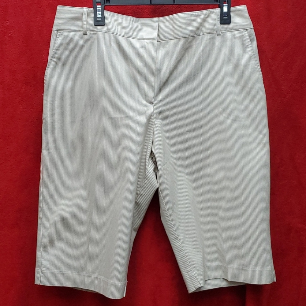Briggs New York high waist short.